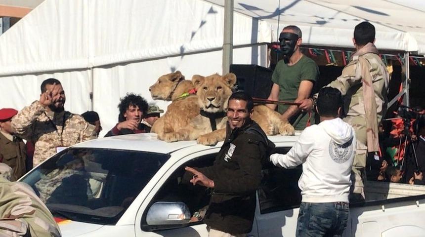 Libya: Altı kardeş ve aslanları bir kente nasıl dehşeti yaşattı?