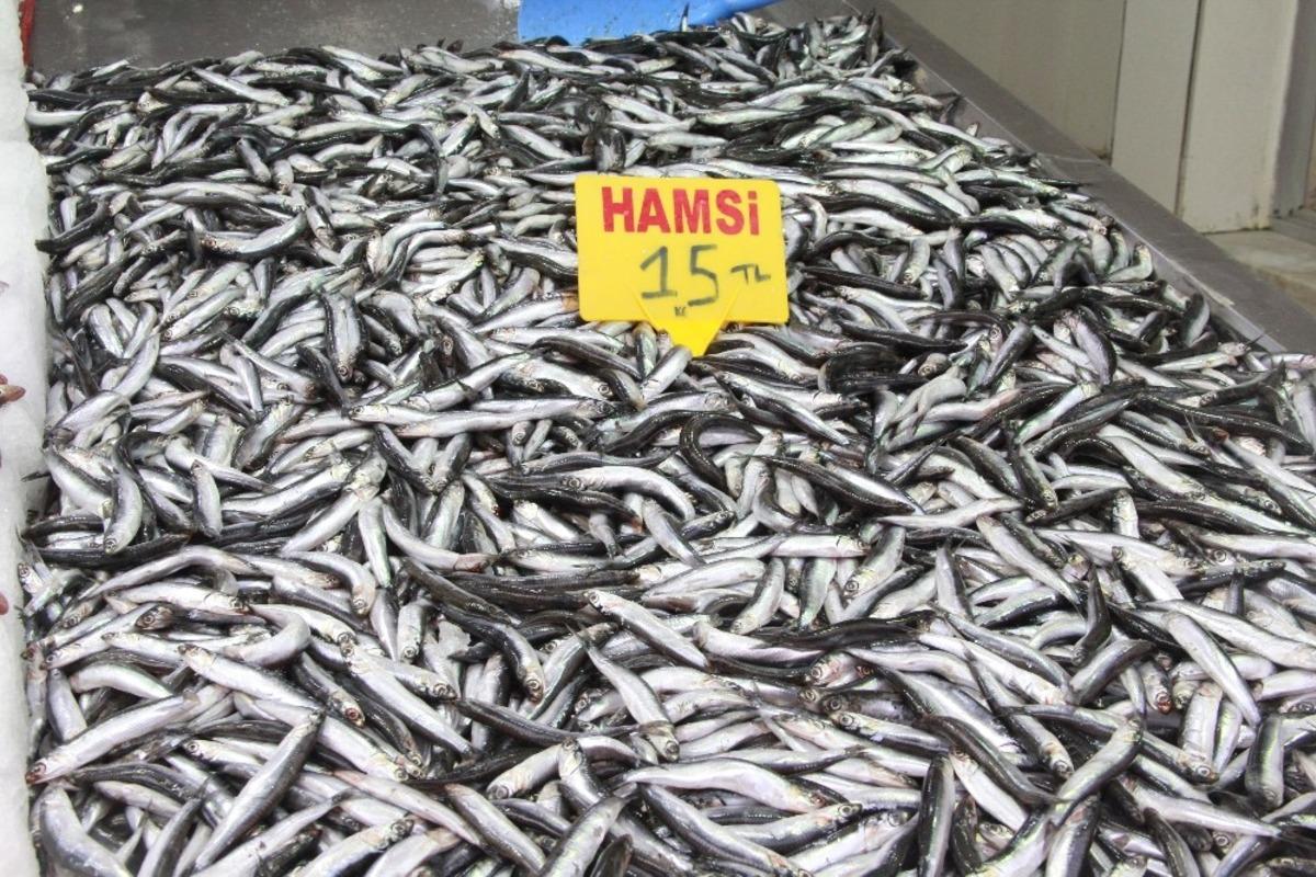 Hamsi yasağına &rsquo;buzhane&rsquo; &ccedil;&ouml;z&uuml;m&uuml;