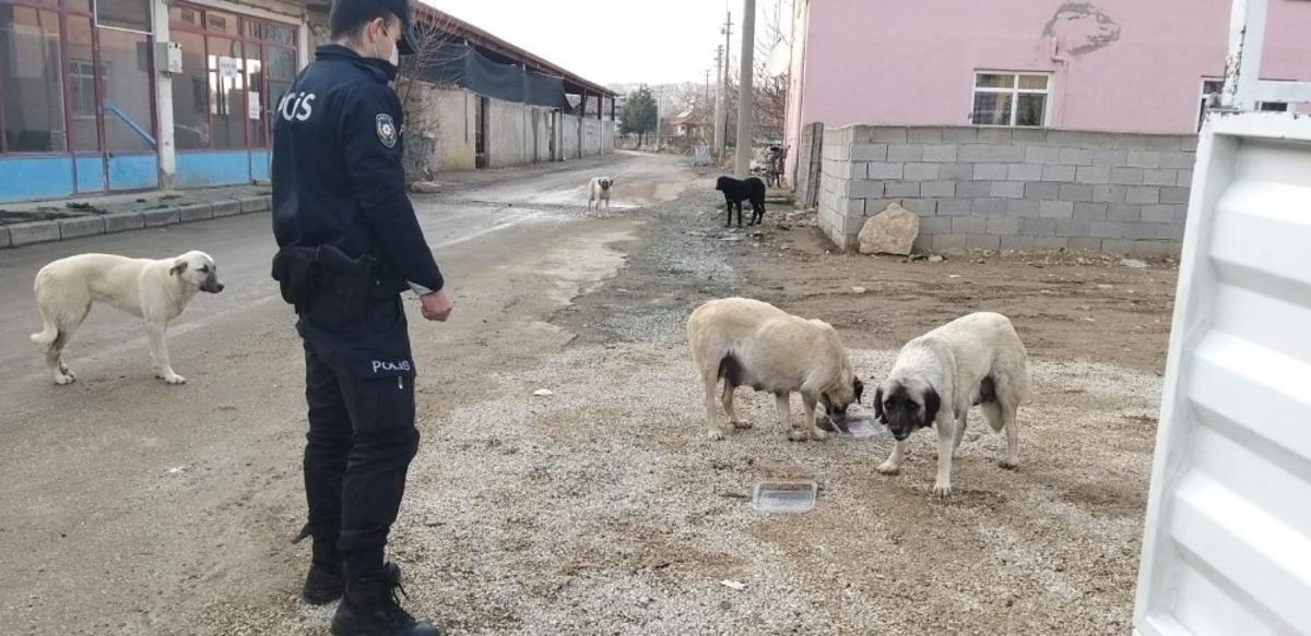 Gelendost il&ccedil;esinde polisten şefkat eli devriyesi