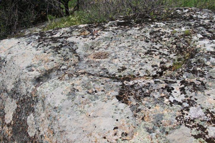 Kaçak kazılar ve kaçak avcılar Menet Adası’na zarar veriyor G5