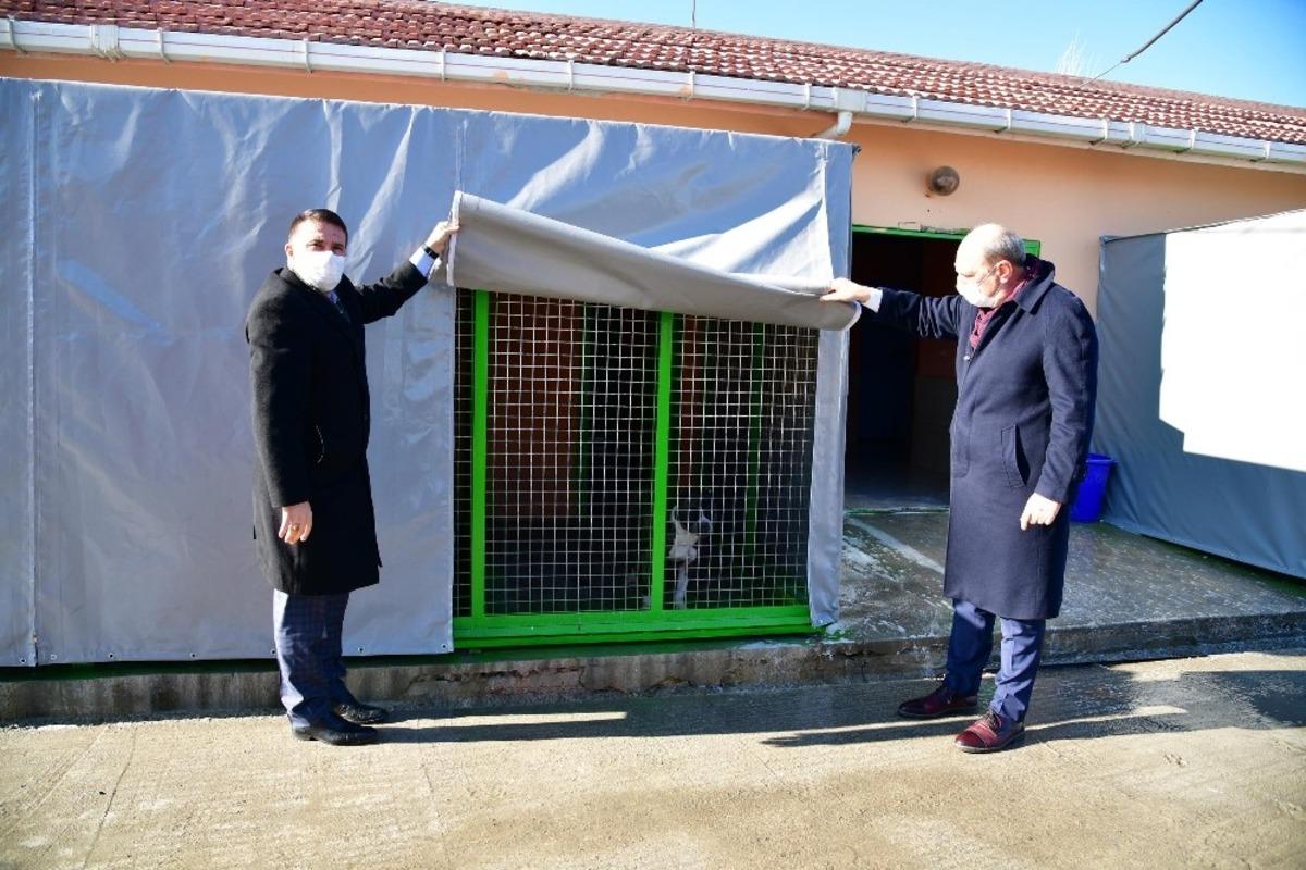 Mamak Belediyesi kış g&uuml;nlerinde de sevimli dostlarını unutmadı