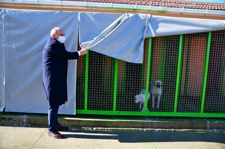 Mamak Belediyesi kış günlerinde de sevimli dostlarını unutmadı G2