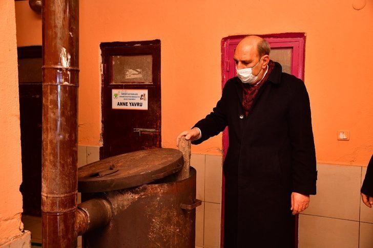 Mamak Belediyesi kış günlerinde de sevimli dostlarını unutmadı G3