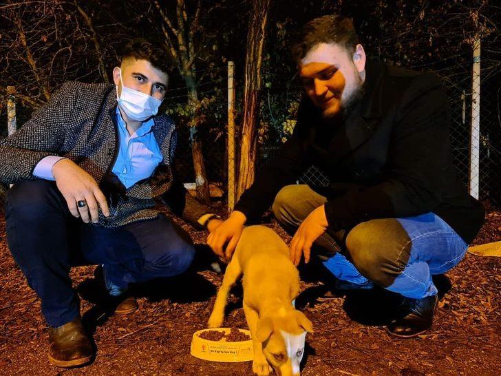 Osmancık’ta sokak hayvanları için kampanya başlatıldı G1