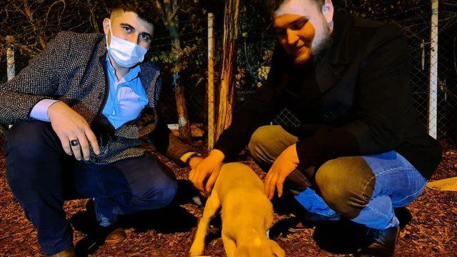 Osmancık’ta sokak hayvanları için kampanya başlatıldı