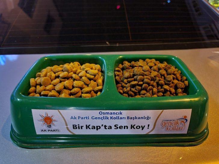 Osmancık’ta sokak hayvanları için kampanya başlatıldı G5