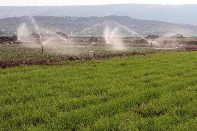 Arabanlı çiftçilerin kuraklık endişesi