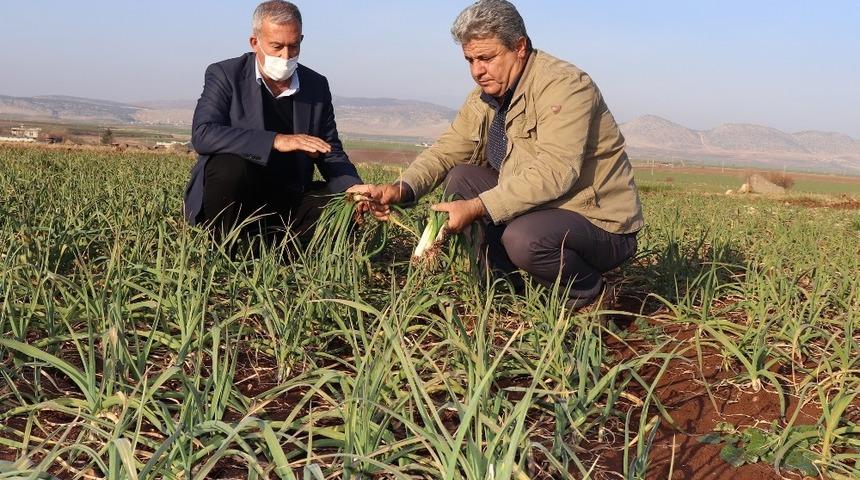 Arabanlı çiftçilerin kuraklık endişesi