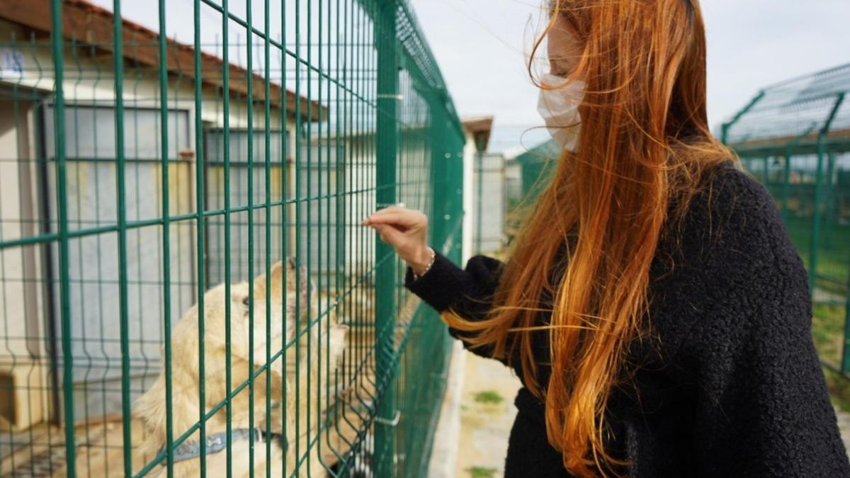 Can dost &rsquo;boncuk&rsquo; i&ccedil;in seferberlik