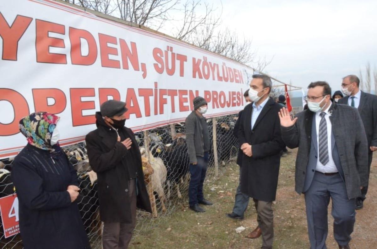 Emet&rsquo;te &rsquo;Ke&ccedil;i peyniri&rsquo; projesi