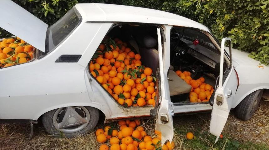 Bir otomobil dolusu portakalı &ccedil;alamadan ka&ccedil;tı