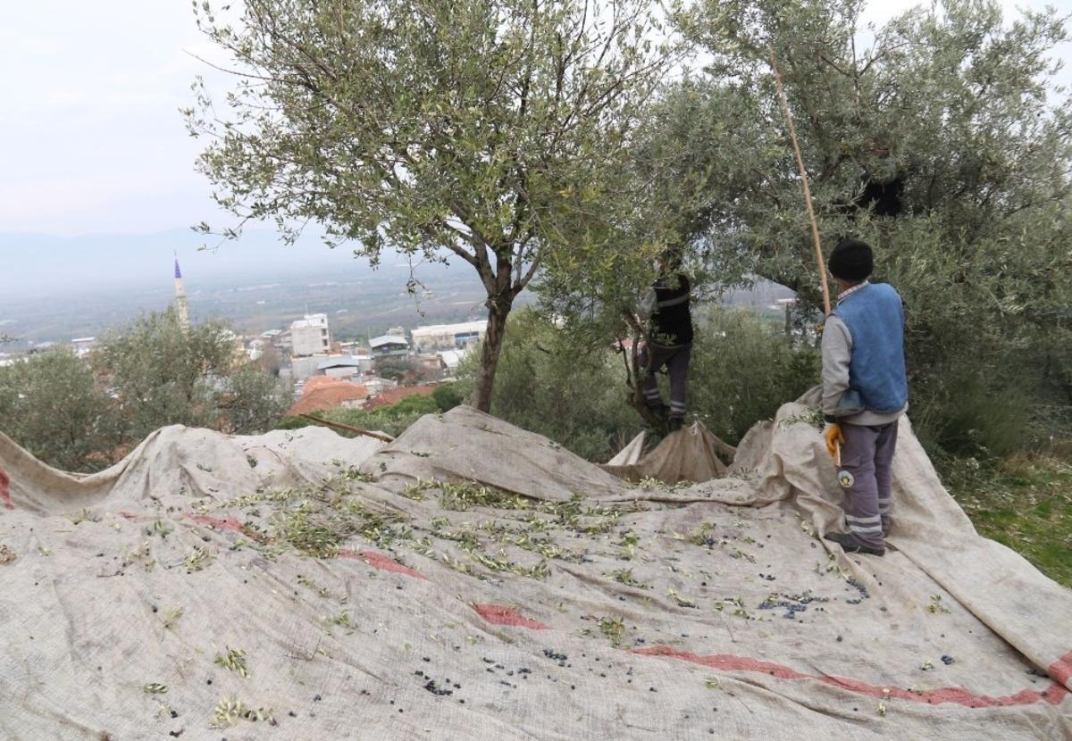 Turgutlu&rsquo;da &ccedil;alışmalar hız kesmiyor