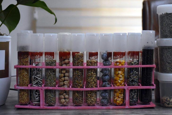 Tarsus’tan İstanbul’a TUBİTAK projesi için 1 milyon tohum G1