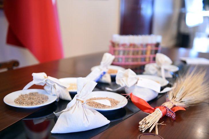 Tarsus’tan İstanbul’a TUBİTAK projesi için 1 milyon tohum G4