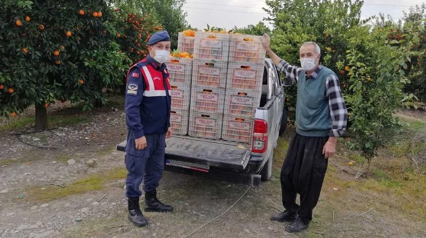 Adana'da bah&ccedil;eden &ccedil;alınmak istenilen 800 kilogram portakal sahibine verildi
