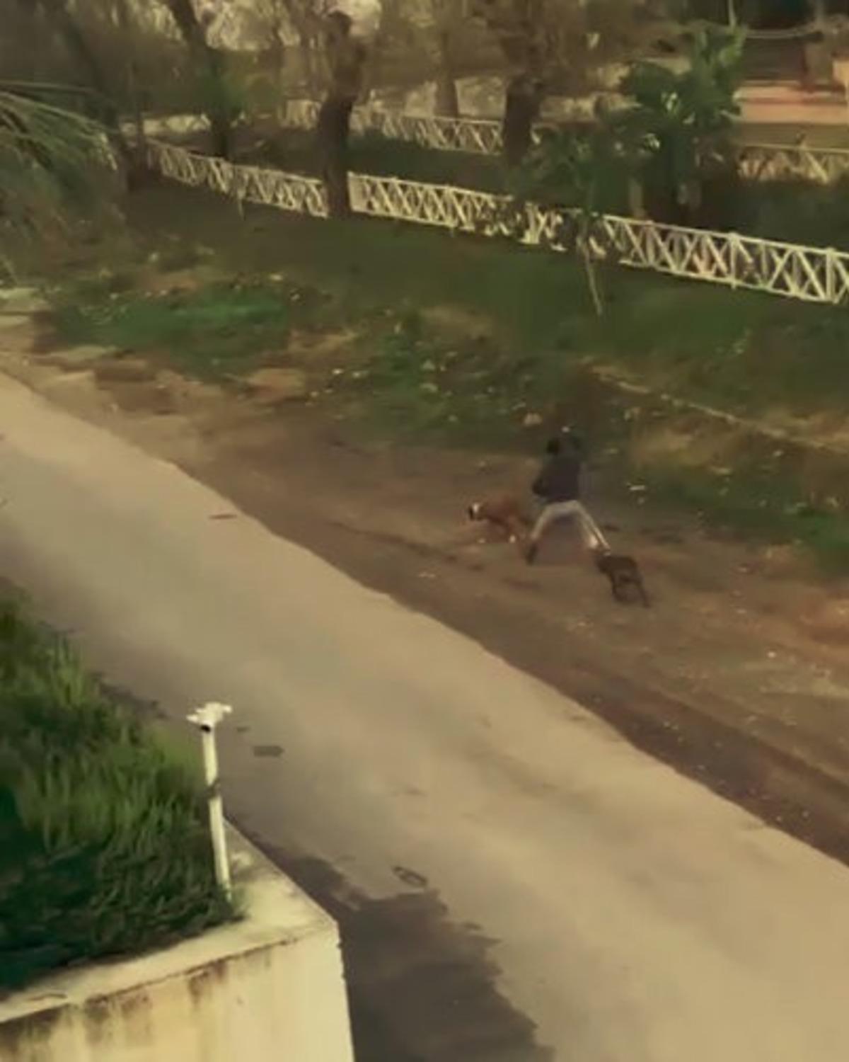 Sopayla k&ouml;peklerini d&ouml;ven kadına, &rsquo;mala zarar verme&rsquo; su&ccedil;undan işlem yapıldı