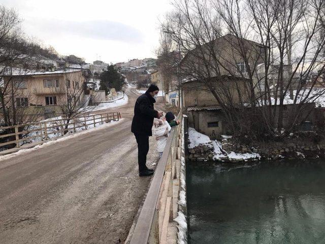 Bayburt’ta sokak hayvanları için yiyecek bırakıldı