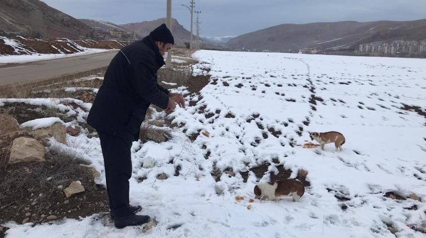 Bayburt&rsquo;ta sokak hayvanları i&ccedil;in yiyecek bırakıldı