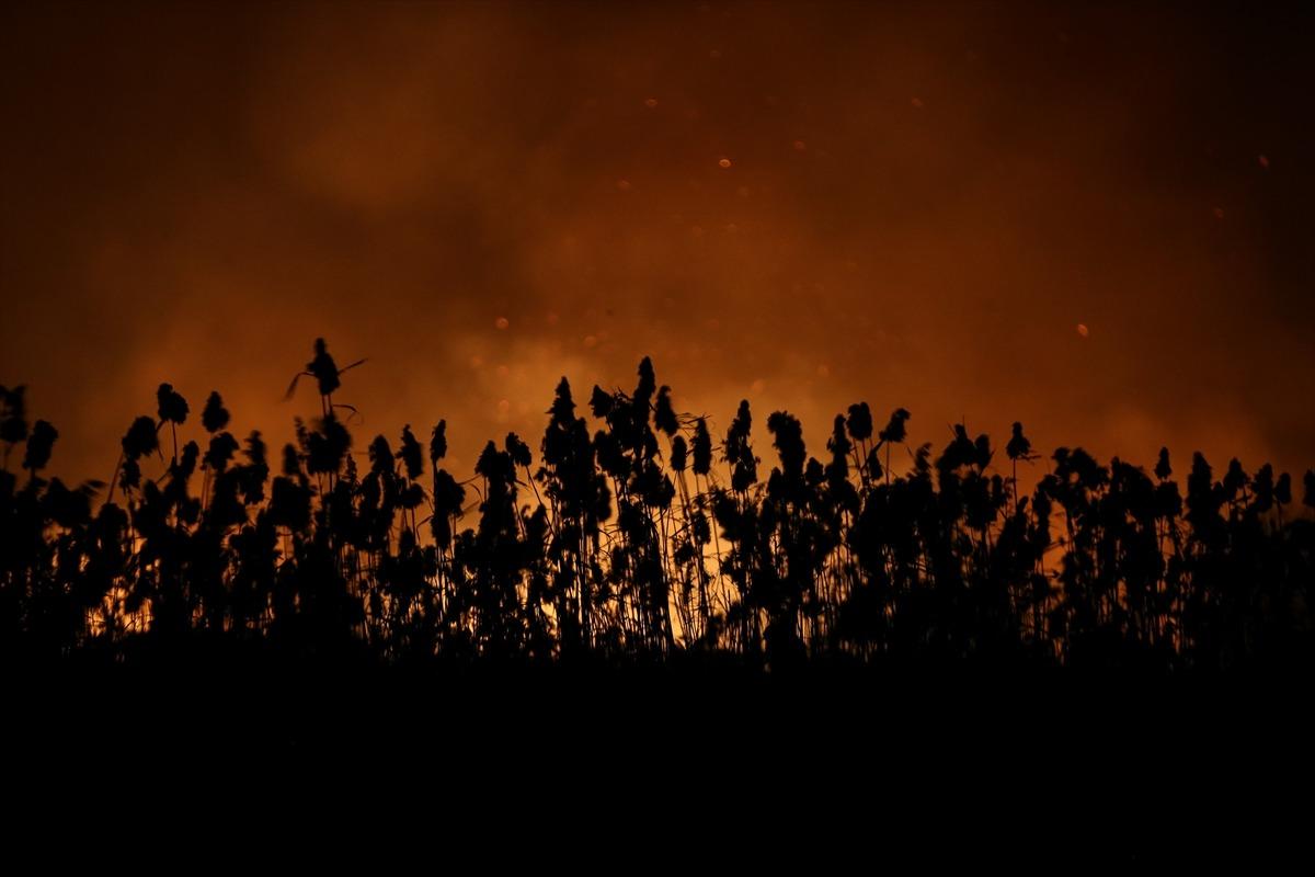 Bursa'daki sazlık yangını s&ouml;nd&uuml;r&uuml;ld&uuml;