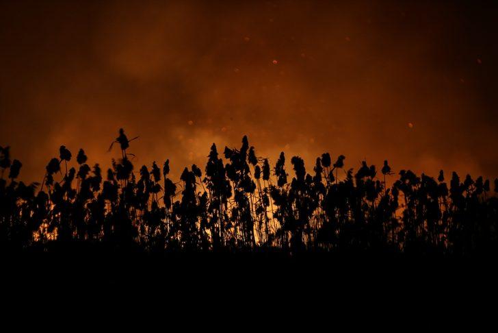 Bursa'daki sazlık yangını söndürüldü G1