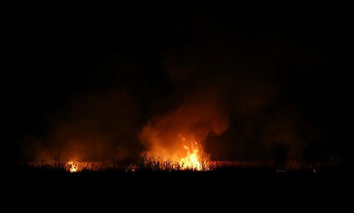Bursa'daki sazlık yangını söndürüldü G2