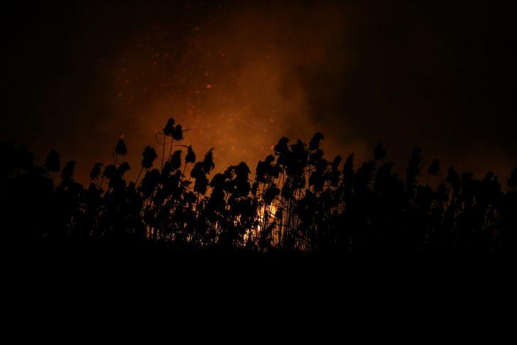 Bursa'daki sazlık yangını söndürüldü G4