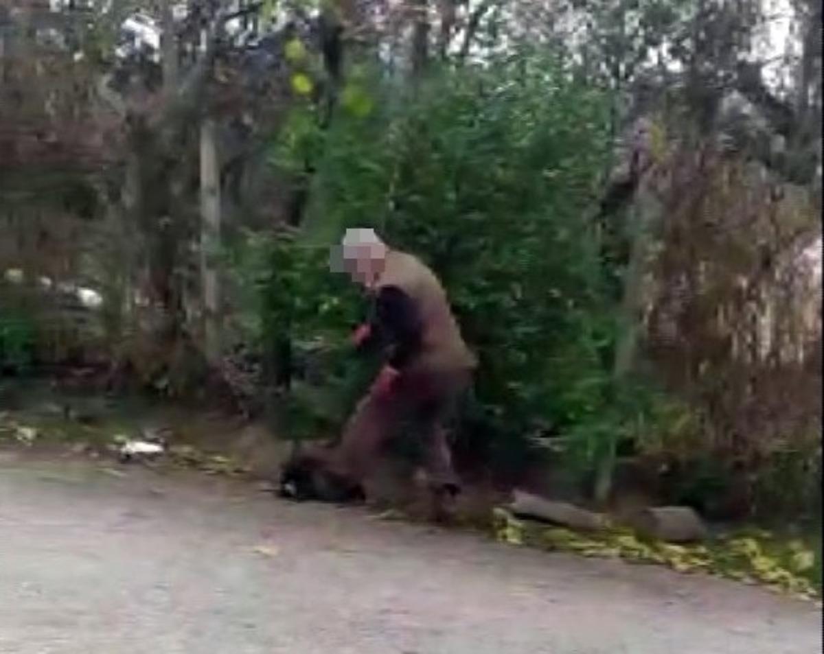 Yavru k&ouml;pekleri annelerinden ayıran belediye g&ouml;revlilerine uyaran gence ilgin&ccedil; tepki