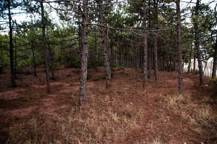 Eskişehir Kent Ormanı çöplerden temizlendi G2