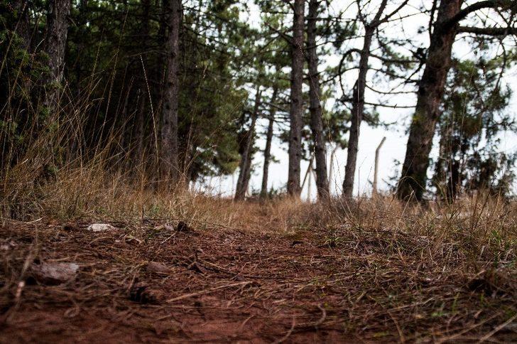 Eskişehir Kent Ormanı çöplerden temizlendi G3