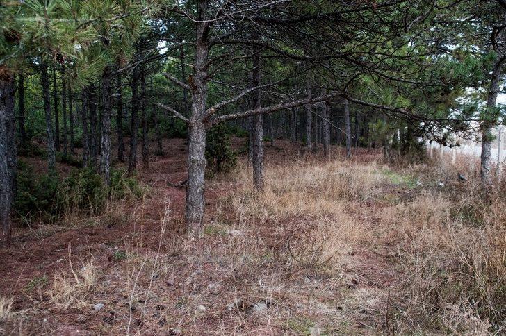 Eskişehir Kent Ormanı çöplerden temizlendi G5