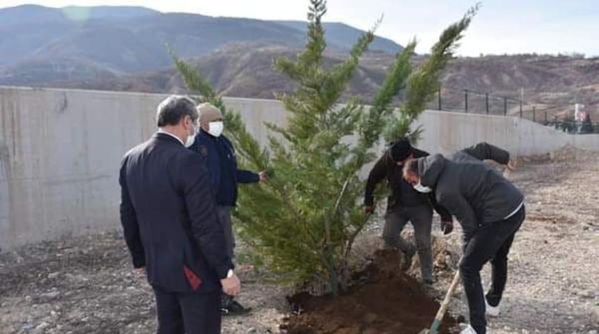 Millet Bah&ccedil;esi&rsquo;nin ilk fidanları toprakla buluşturuldu
