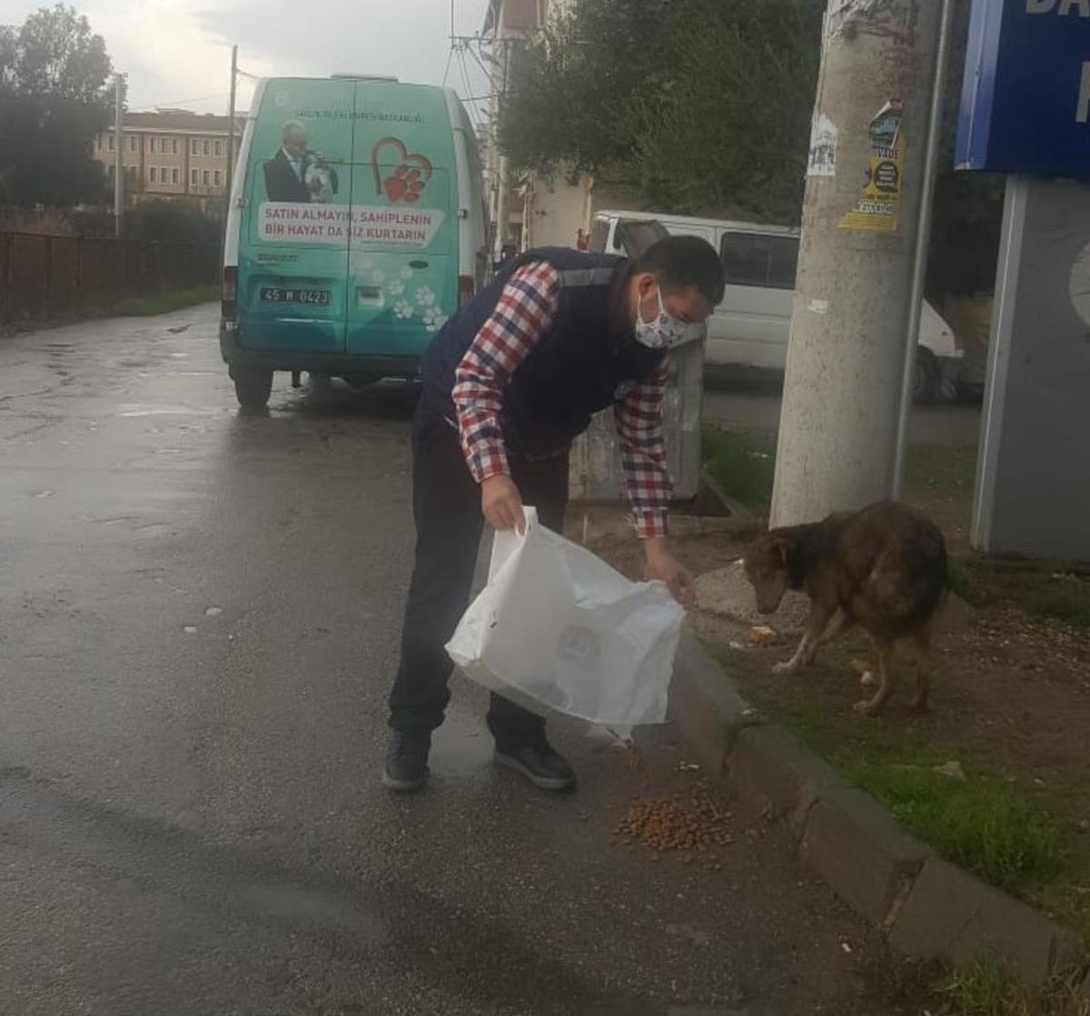 Manisa&rsquo;da sokak hayvanlarına mama desteği