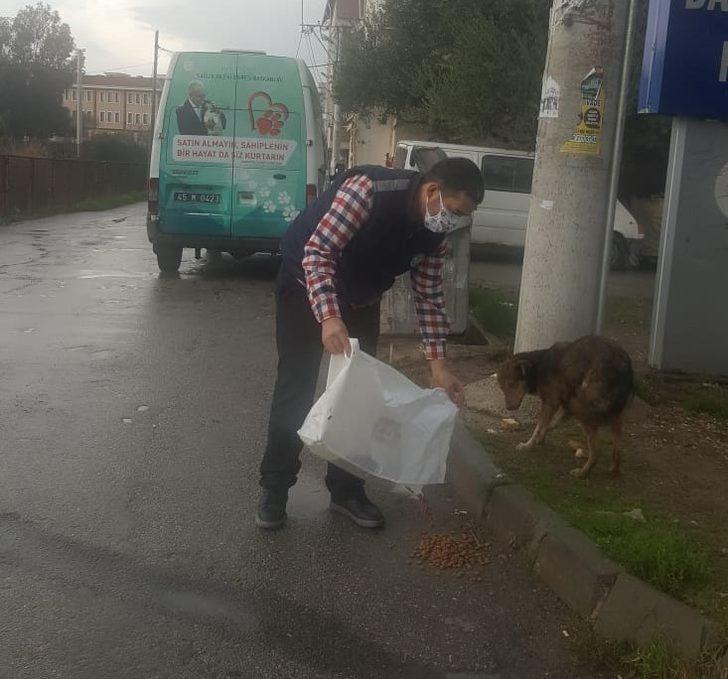 Manisa’da sokak hayvanlarına mama desteği G1