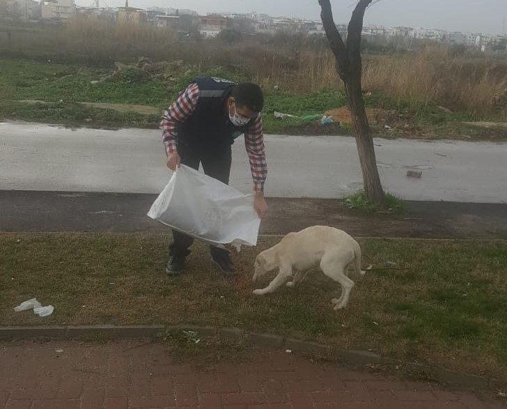 Manisa’da sokak hayvanlarına mama desteği G2