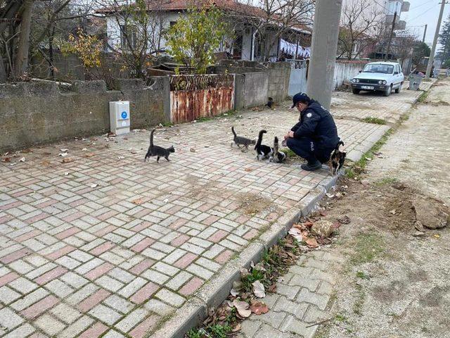 Yenice’de Emniyet ekipleri sokak hayvanlarını unutmadı