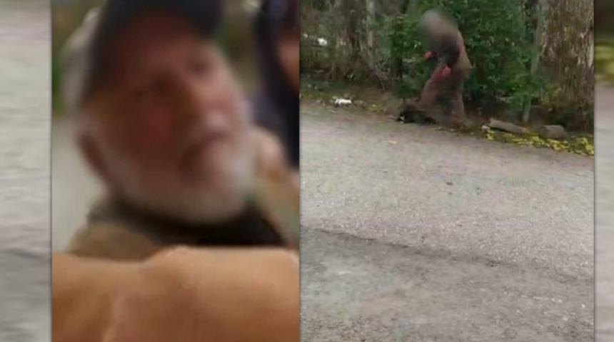 Yer: Sakarya! 'Yavruları annelerinden ayırmayın' diyen gen&ccedil; kıza tokat attı