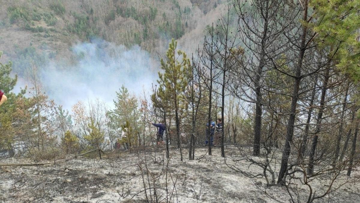 Fındık bah&ccedil;esinde yakılan anız ormana sı&ccedil;radı, yangına m&uuml;dahale ediliyor