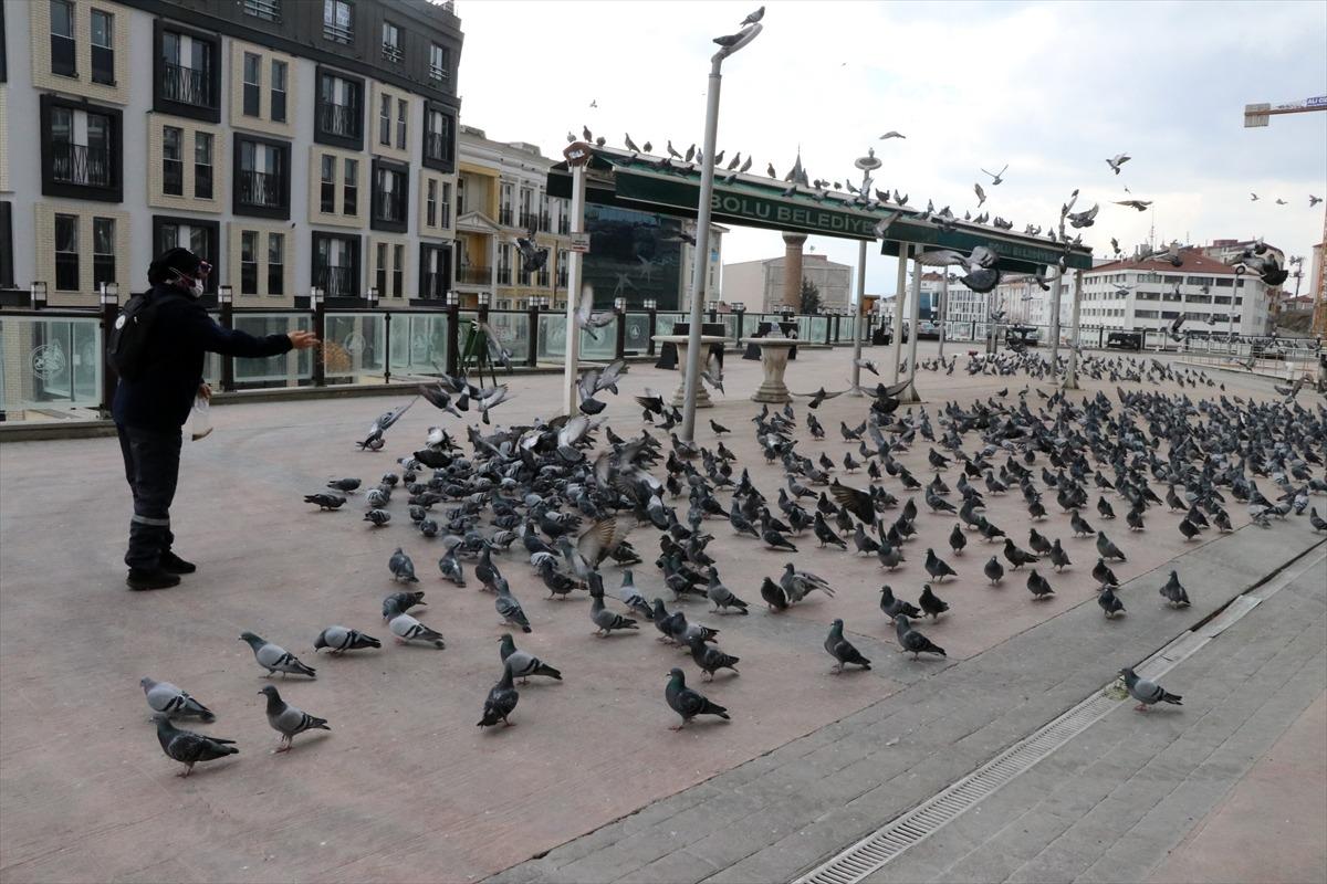 Kısıtlamada Bolu'daki sokak hayvanları unutulmadı