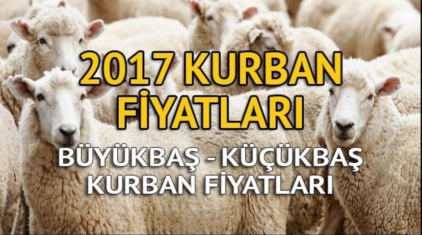 2017 Kurbanlık fiyatları: Koç, dana, koyun kurbanlık fiyatları!