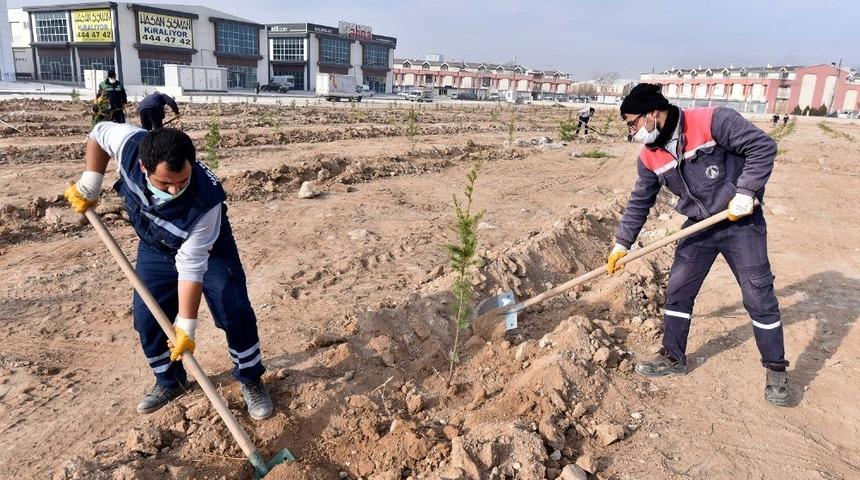 Karatay Belediyesi basın mensupları adına fidan dikti