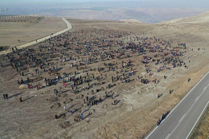 Altındağ’da yeşil rekor G2