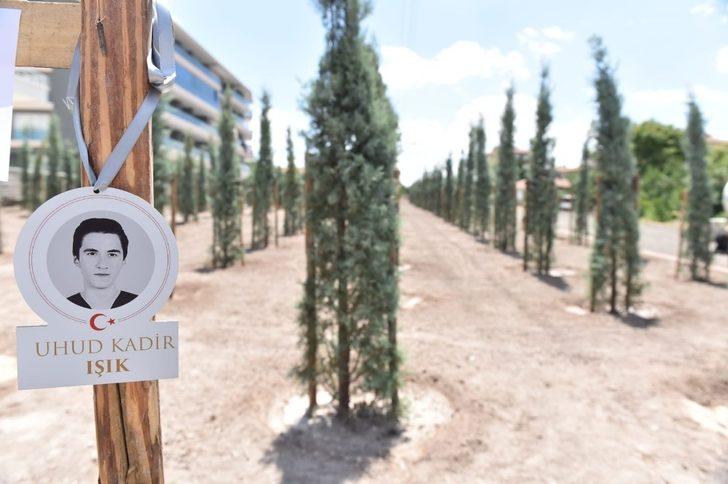 Altındağ’da yeşil rekor G4