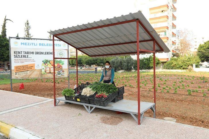 Tarlada üretip yanı başında satıyor G1