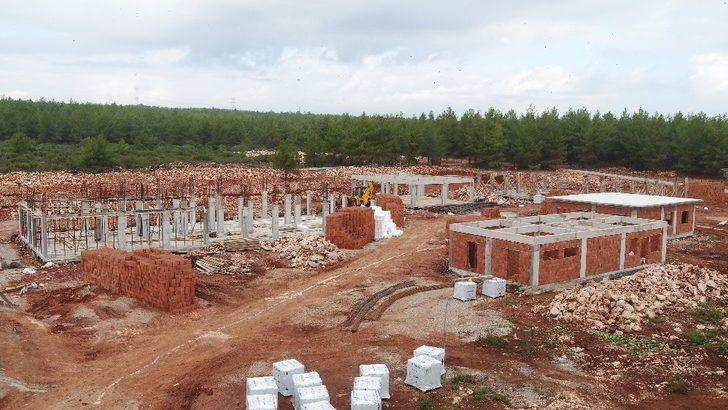 Sokak Hayvanları Bakım Evi’nde hummalı çalışma G3