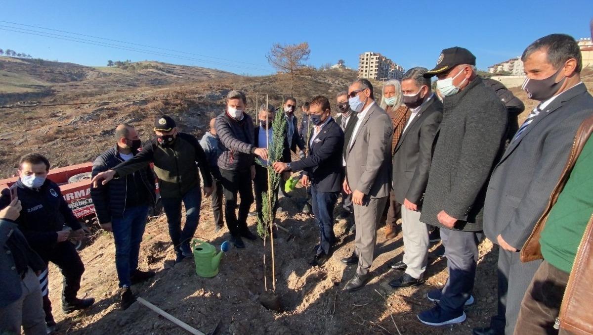Belen&rsquo;de yangında zarar g&ouml;ren alana Beşiktaş Kul&uuml;b&uuml; y&ouml;neticileri, fidan dikti