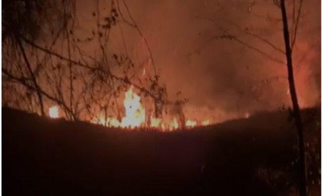 Artvin&rsquo;in Kemalpaşa il&ccedil;esinde yangın 1