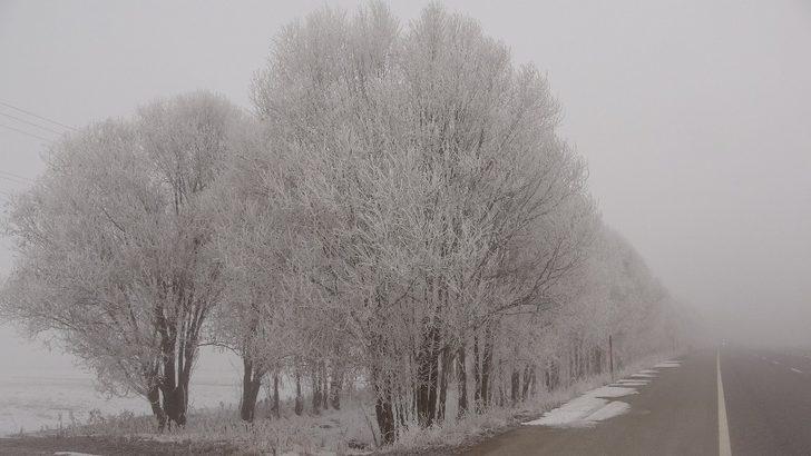 Muş’ta iki mevsim bir arada G1