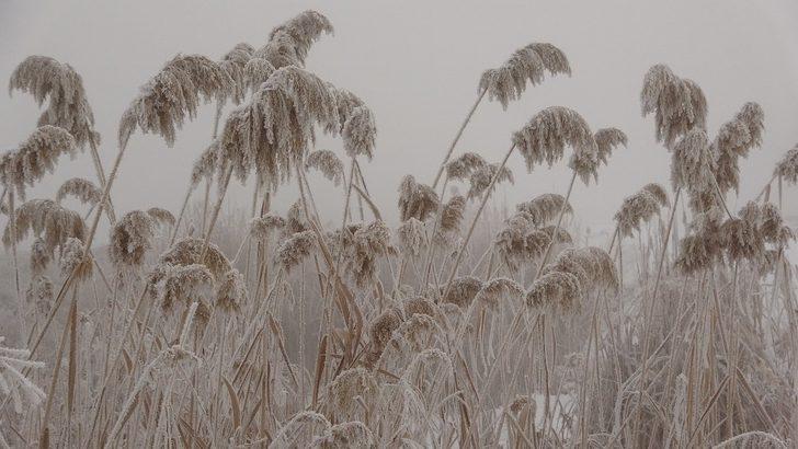Muş’ta iki mevsim bir arada G5