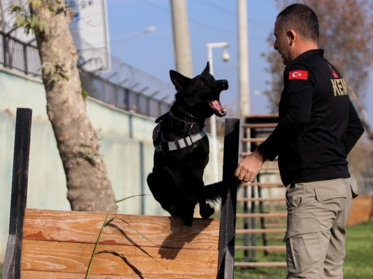 Onlar zehir tacirlerinin korkulu r&uuml;yası