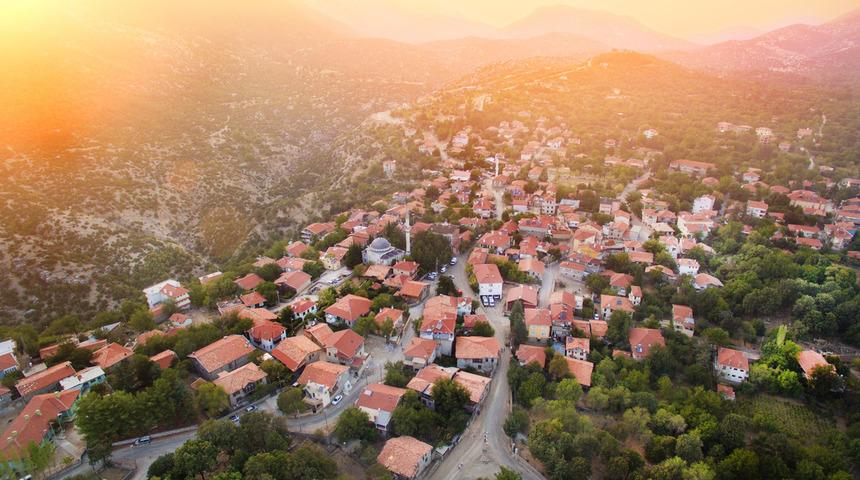 Düğmeli evler nerede? Ormana düğmeli evlerin özellikleri